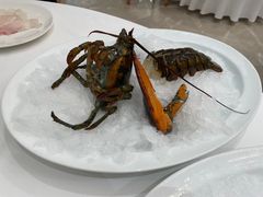 -京彩臻品火锅