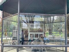 -长白岛森林公园