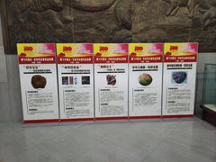 -中国西峡恐龙遗迹园