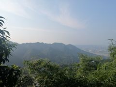 -南山植物园