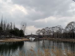 -大兴滨河森林公园