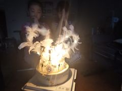 -锦时动物奶油蛋糕(茂业东方时代店)