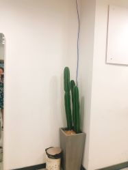 点击看大图 前台-KIMI HAIR SALON·烫染设计店
