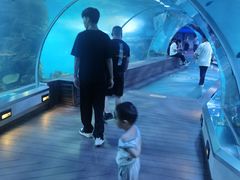 -石家庄海洋公园