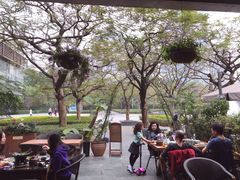 -缘生态云南菜·野生菌庭院餐厅(华侨城店)
