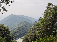 -梧桐山风景名胜区