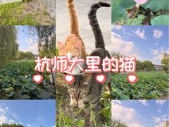 -杭州师范大学(下沙校区)