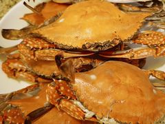 -禾斗海鲜自助(市南银座店)