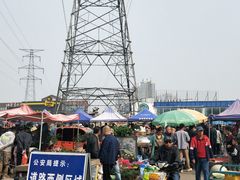 -中环花鸟鱼虫市场