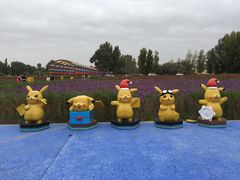 -金塔沙漠胡杨林景区