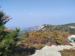 -泰山风景名胜区