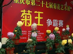 -南山植物园