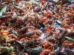 -三旗百汇商品城