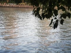 -润和祥小砵头甜酒酿