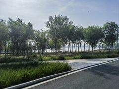 -天津东丽湖风景区