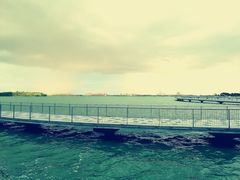 -金鸡湖桃花岛