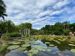 -中国科学院西双版纳热带植物园