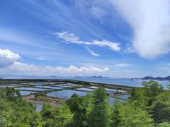 -蛇蟠岛