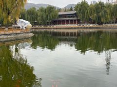 -金城公园