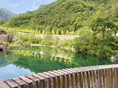 -王莽岭风景区