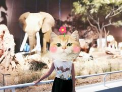 -贝林大翅鲸简餐厅(国家海洋博物馆店)