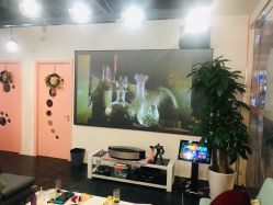 -doladola(徐家汇店)