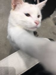 -和良形象