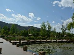 android_upload_pic-西昌邛海湿地