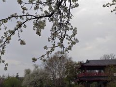-堤角公园