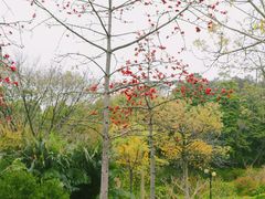 -云溪植物园