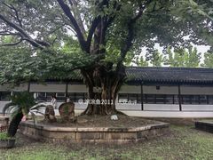 -苏州文庙(姑苏区)