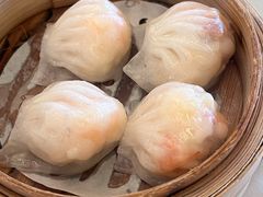 悦湖玉液虾饺皇-悦湖公馆