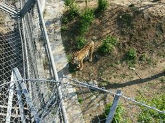 -石家庄市动物园