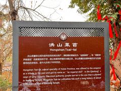 -宝通禅寺