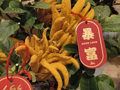 -双季花艺园艺市场(浦东店)