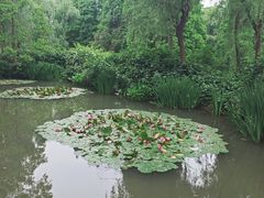 -洛阳市隋唐城遗址植物园