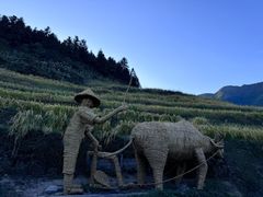 -紫鹊界梯田景区