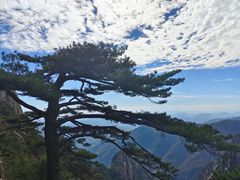 -黄山风景区