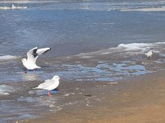 -老虎石海上公园