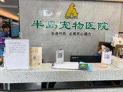 -半岛宠物医院24小时(科华中路店)
