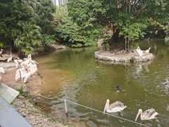 -深圳野生动物园