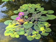 -国家植物园南园