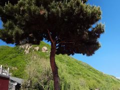 -天津盘山风景名胜区