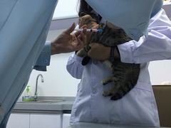 -达爱动物医院·犬猫分区·CT·复杂眼科(远洋山水分院)