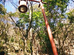-普陀山风景区-佛顶山