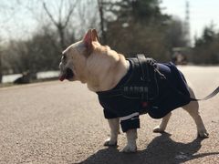 -永定河休闲森林公园