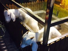 -上海大自然野生昆虫馆