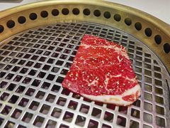 -千寻山野烤肉(中关村店)
