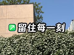 -四川大学(望江校区)