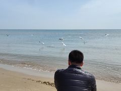 -老虎石海上公园